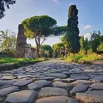 Domus